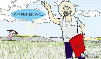 源沃肥業(yè)提示 冬季土壤翻耕與施用有機肥