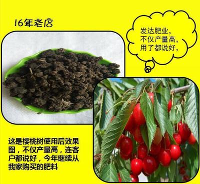 【正定批發(fā)石家莊蔬菜專用雞糞有機(jī)肥 果樹(shù)草坪專用膨化顆粒雞糞】?jī)r(jià)格_廠家_圖片 -