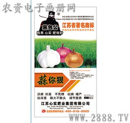 蒜你很 江蘇心實肥業(yè)集團 農資電子畫