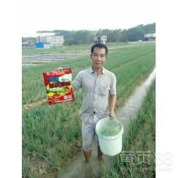 【為峰肥業(yè)膨果鉀寶,高含量沃根膨果鉀寶廠家直銷】- 