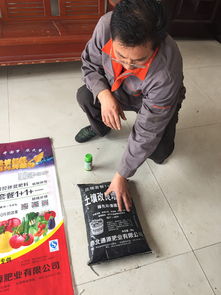 河北商貿(mào)學校